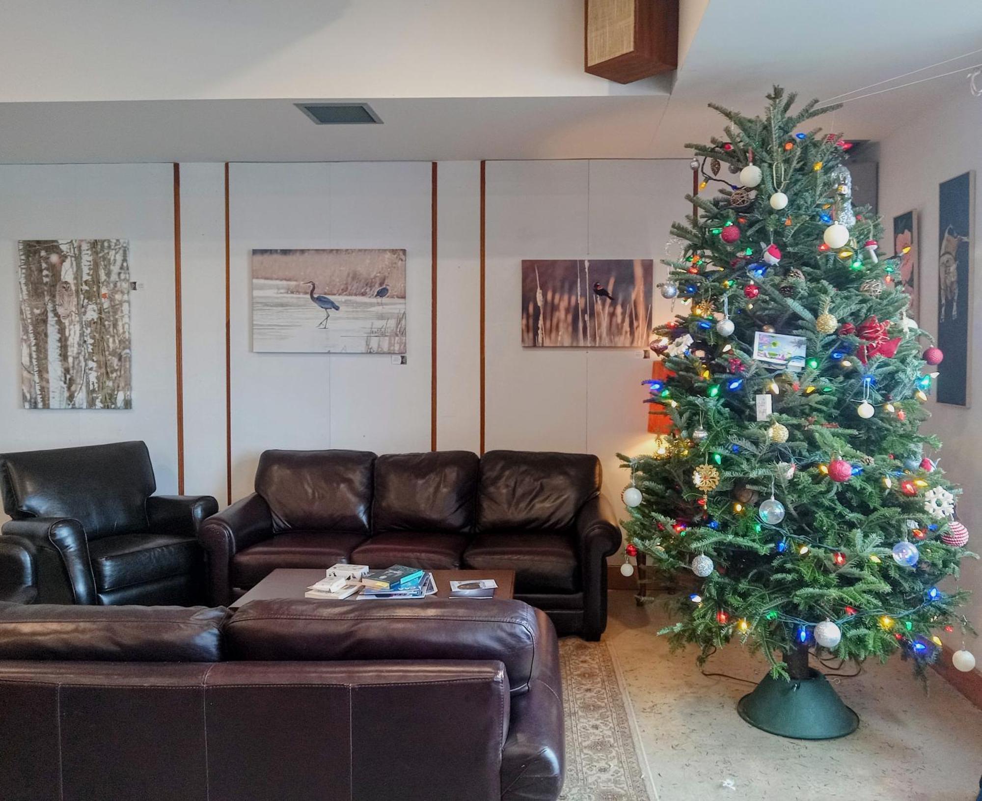 Hotel Wolfe Island Marysville Bagian luar foto